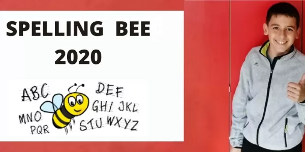 bordered sunflower photo web banner